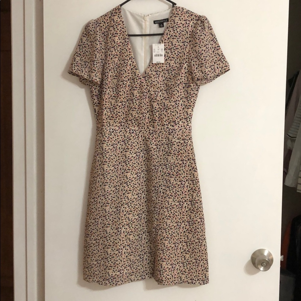 J. Crew Dress 🇺🇸